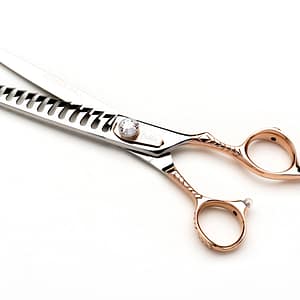 Dynasty Dahlia 13th Chunker