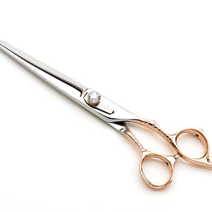 Dynasty Dahlia Straight