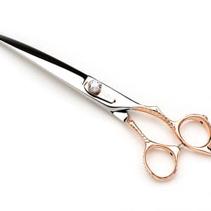 Dynasty Dahlia Curve